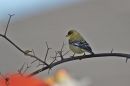 DSC03740--.jpg
