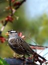 DSC05706-c.jpg