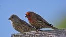 DSC3697s.jpg