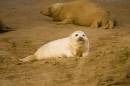 DSC4654small.jpg