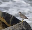 DSC5277s2.jpg