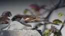 DSC7849.jpg