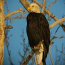DSCF4705.jpg