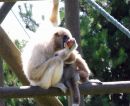 DSCF6372_monk.jpg
