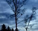 DSCN0729_3.jpg
