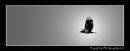 DSCN5822-2.jpg