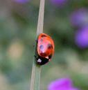 DSC_00261.JPG