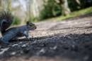 DSC_0036_800x600_.jpg