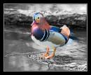 DSC_0086-Edit-Edit.jpg