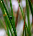 DSC_0090_edited-adobe_sharpened_Medium_.jpg