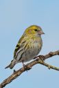 DSC_0131M.jpg