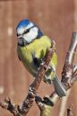DSC_0173M.jpg