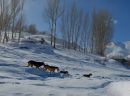 DSC_0191a.JPG
