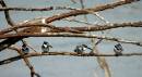DSC_03332008-11-29_14-27-18.JPG