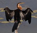 DSC_0665.JPG
