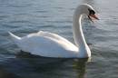 DSC_2165CL.jpg