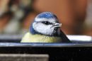 /gallery/data/501/thumbs/DSC_2670M.jpg