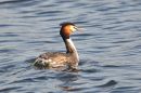 DSC_3307M.jpg