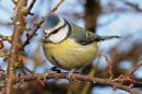 DSC_3487M.jpg
