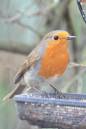 DSC_3601CS_680_x_1024_1.jpg