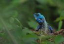 DSC_4449.JPG