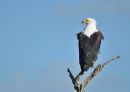 DSC_5379.JPG