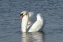 DSC_6686a.jpg