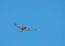 DSC_6860CS_1024_x_731_.jpg