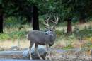 DSC_7313nxadjweb900.jpg