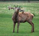DSC_8228zweb.jpg