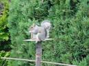 Dsc00004.jpg