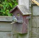 Dsc00014.jpg