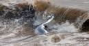 Haverigg-high_tide_095.jpg