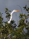 Heron_mission_0433.jpg