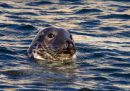 IMG_0023_edited-1.jpg