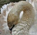 IMG_0046_edited-2_Medium_.jpg