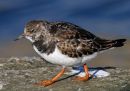 IMG_0053_edited-1.jpg