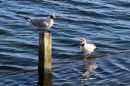 IMG_0058a.jpg