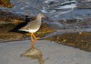 IMG_0081_edited-1.jpg