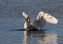 IMG_0093_edited-1.jpg
