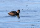 IMG_0117_edited-11.jpg