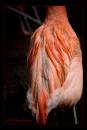 IMG_0158-Edit.jpg