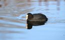 IMG_0202-001.jpg