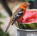 IMG_0392.JPG