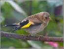/gallery/data/501/thumbs/IMG_04481.jpg