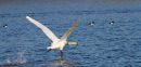 IMG_06032.jpg