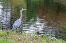 IMG_0719a.jpg