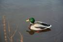IMG_0797_edited-1.jpg