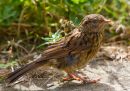 IMG_1264_edited-1.jpg