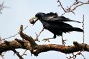 IMG_1324a.jpg